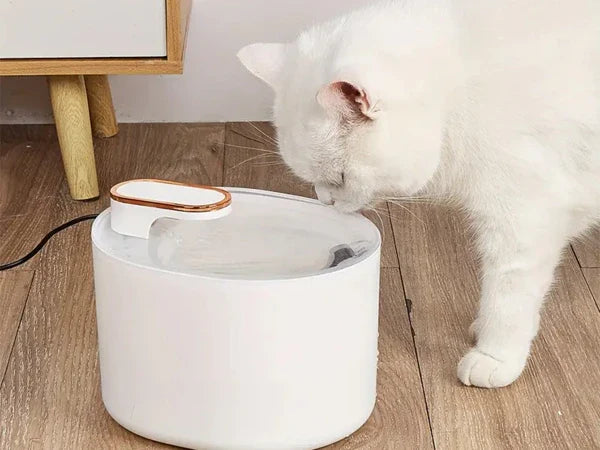 Fontanella Automatica per Cani e Gatti Antispruzzo